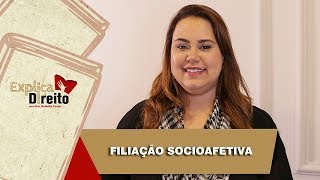 Explica Direito Filiação Socioafetiva  2019 [upl. by Karalynn]