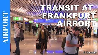 TRANSIT WALK AT FRANKFURT Airport FRA Terminal 1  Connection Flight Transfer Arriving amp Departing [upl. by Narton]